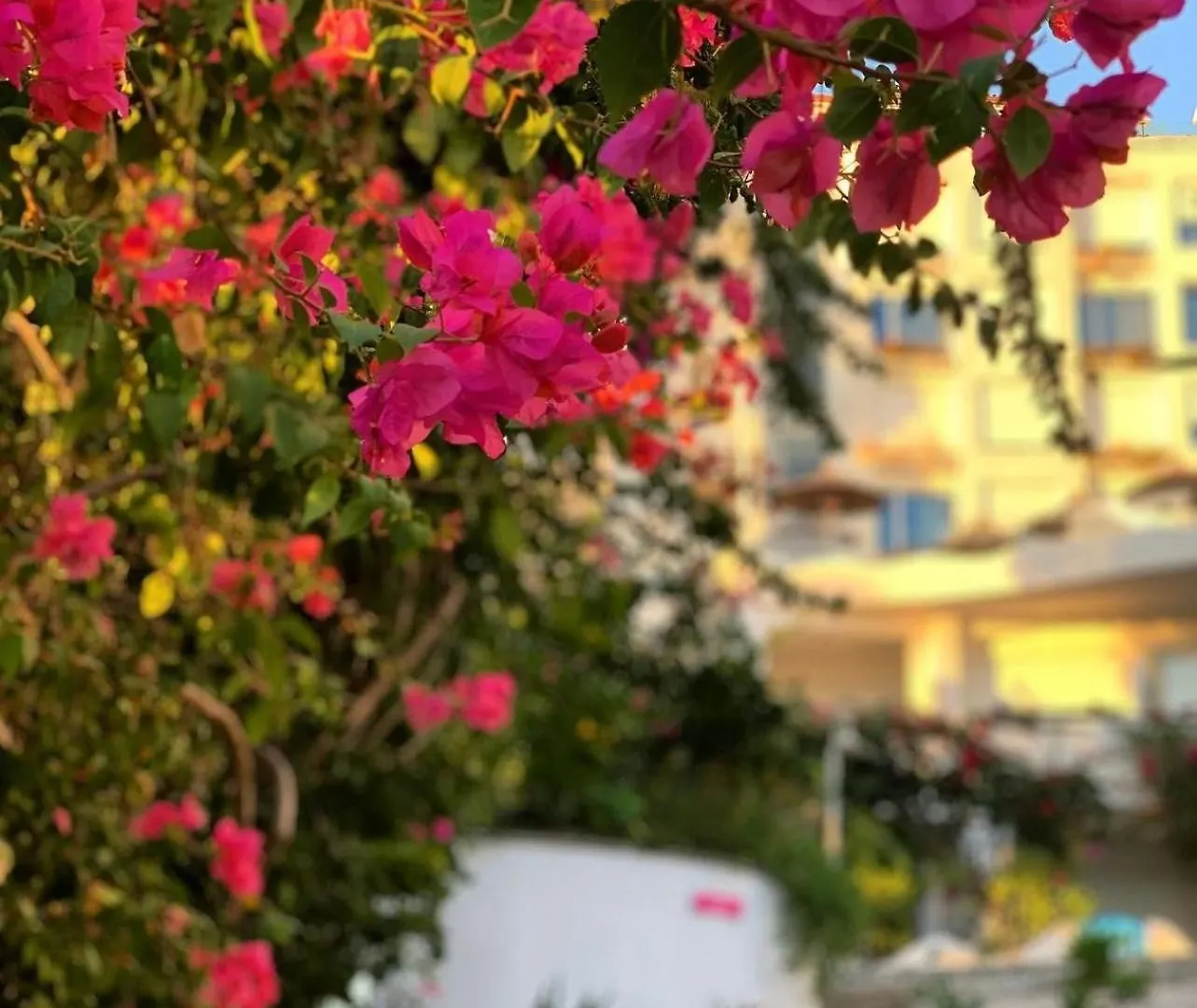 Bellavista Apartments Bougainville Bay Saranda 0*,  Albania