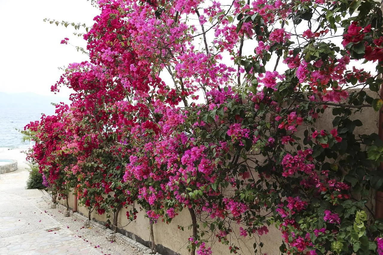Bellavista Apartments Bougainville Bay Saranda 0*,